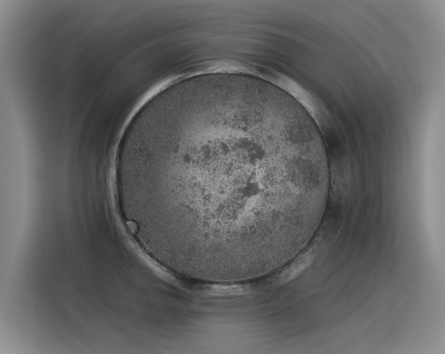 X0000115581142200911171004