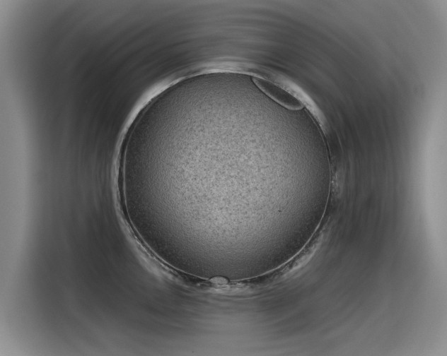 X0000115581146200911171004