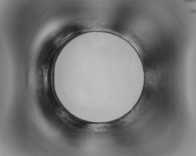 X0000115581150200911171004