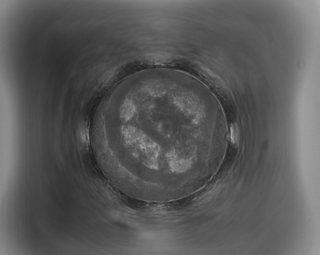 X0000115581155200911171004