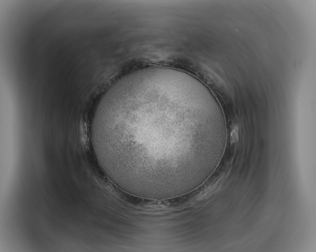 X0000115581156200911171004