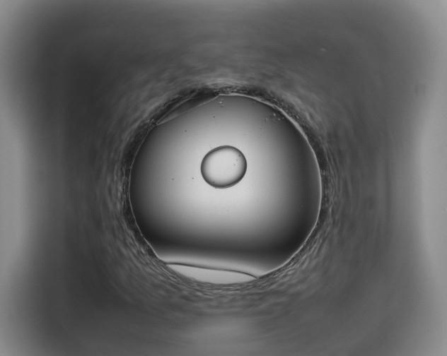 X0000115581157200911171004