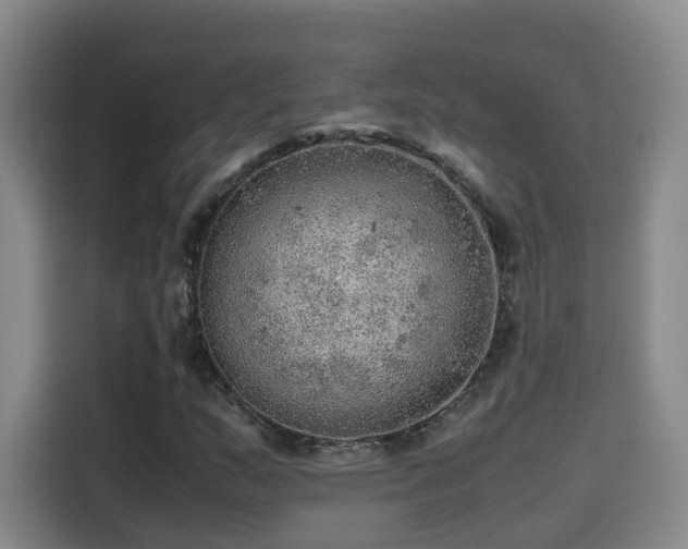 X0000115581159200911171004