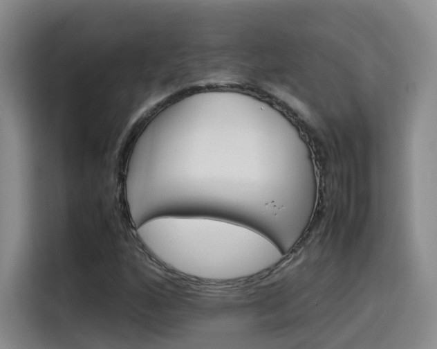 X0000115581160200911171004