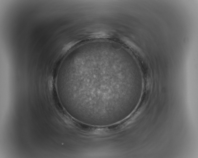 X0000115581161200911171004