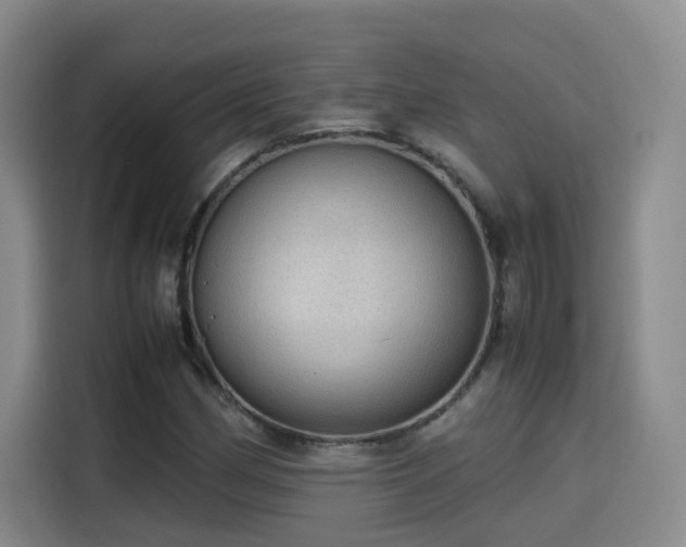 X0000115581162200911171004