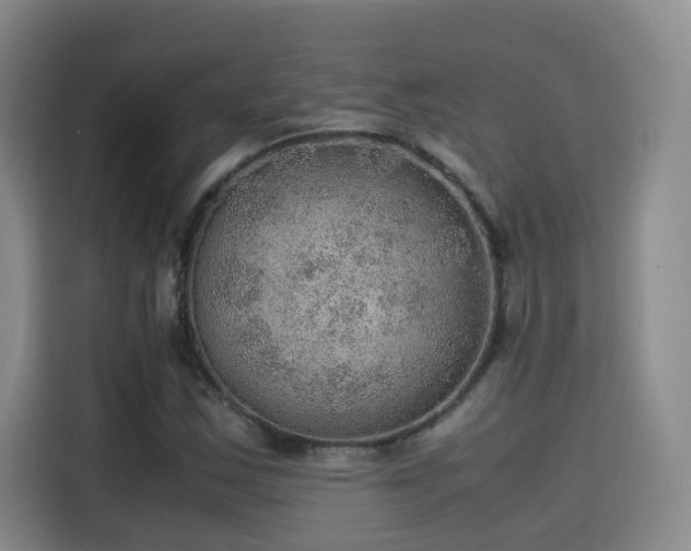 X0000115581163200911171004