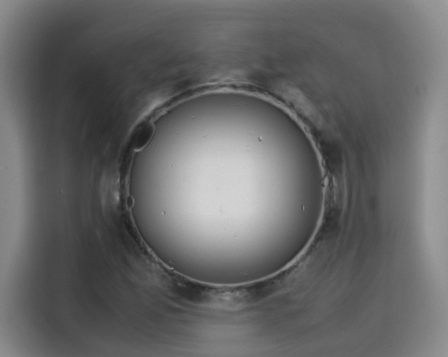 X0000115581165200911171004