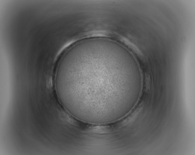 X0000115581166200911171004