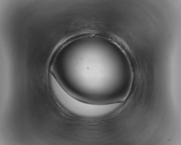 X0000115581168200911171004