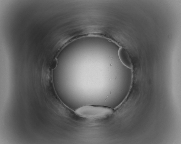 X0000115581169200911171003