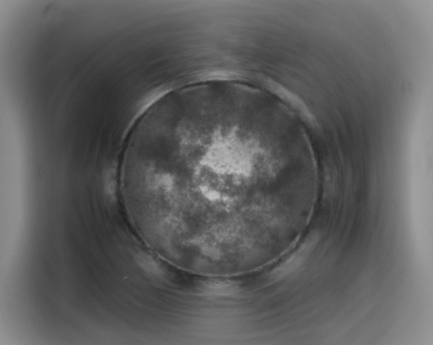 X0000115581170200911171003