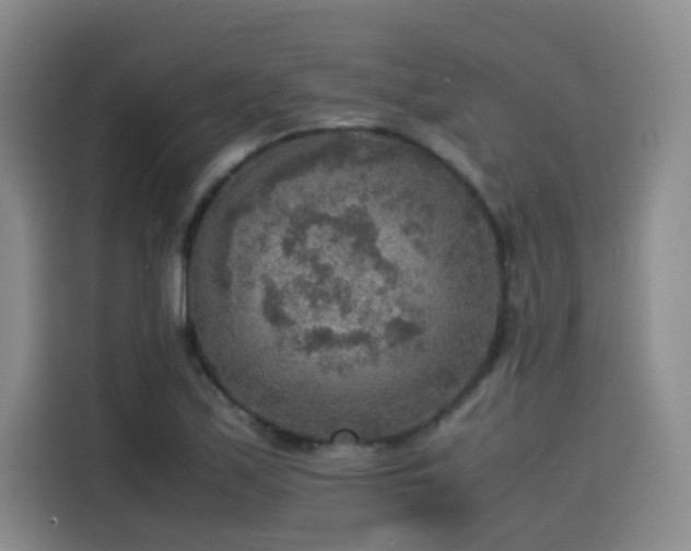 X0000115581171200911171003