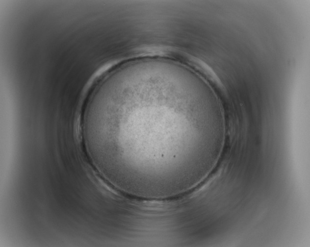 X0000115581172200911171003