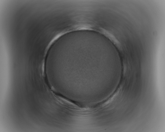 X0000115581174200911171003