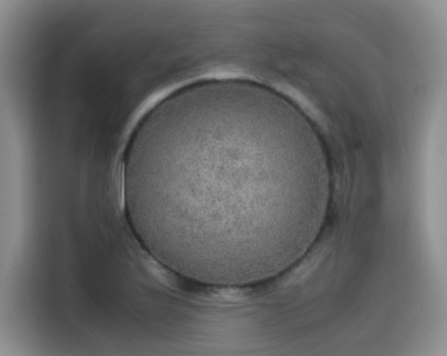 X0000115581175200911171003