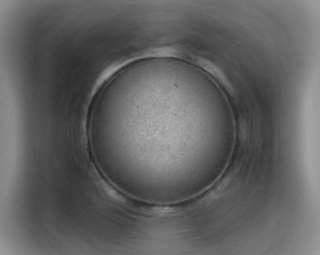 X0000115581176200911171003