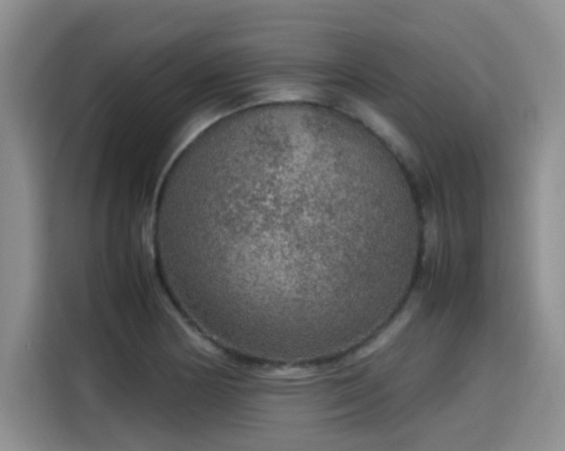 X0000115581178200911171003