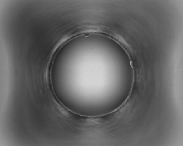 X0000115581181200911171003