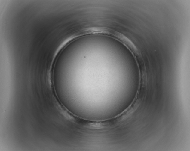 X0000115581182200911171003