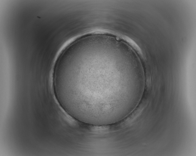 X0000115581183200911171003