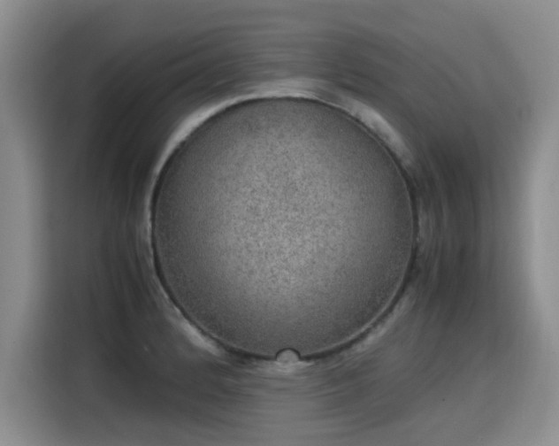 X0000115581184200911171003