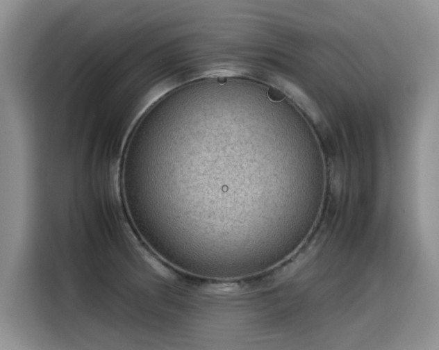 X0000115581186200911171003