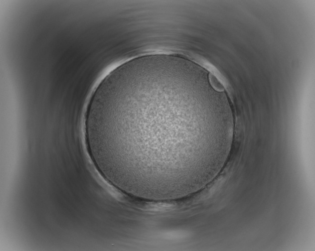 X0000115581187200911171003