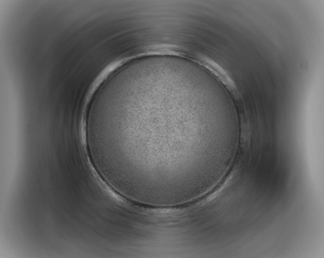 X0000115581188200911171003