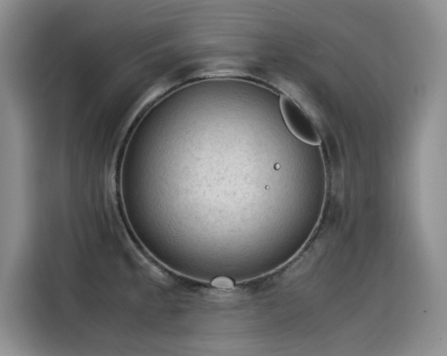 X0000115581189200911171003