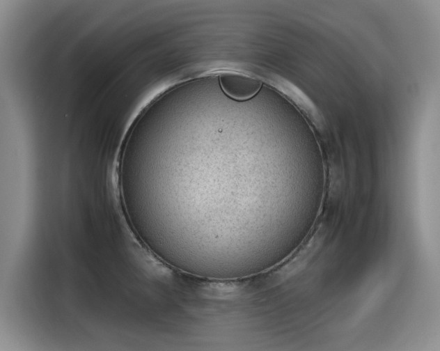 X0000115581190200911171003