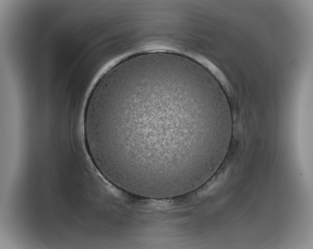 X0000115581191200911171003