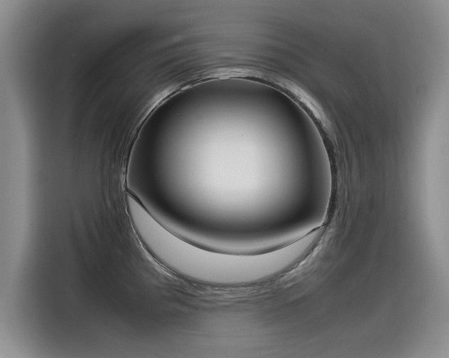 X0000115581193200911171003