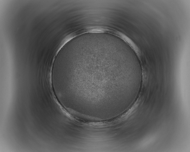 X0000115581194200911171003