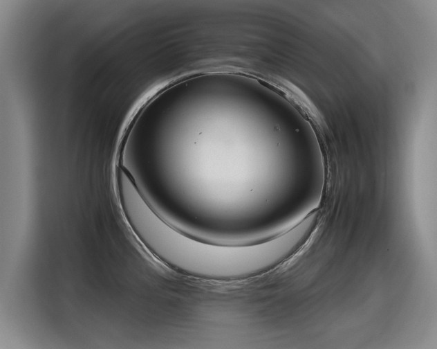 X0000115581196200911171003