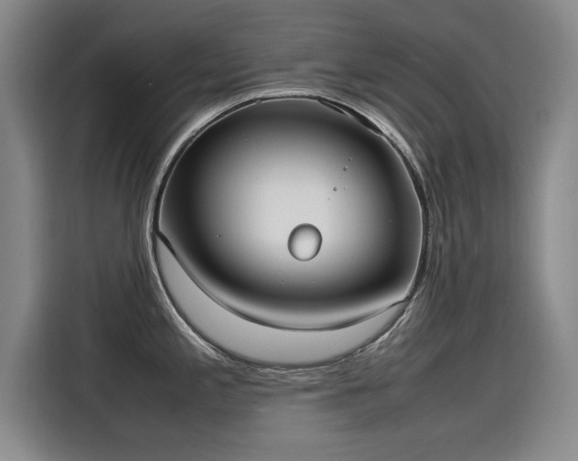 X0000115581197200911171003