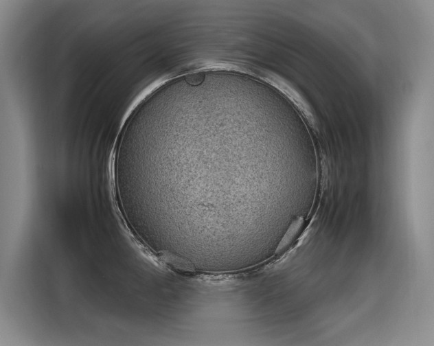 X0000115581198200911171003