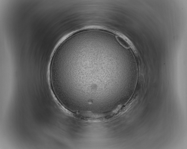 X0000115581199200911171003