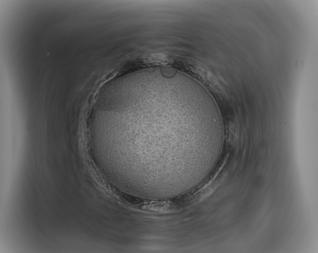 X0000115581201200911171002