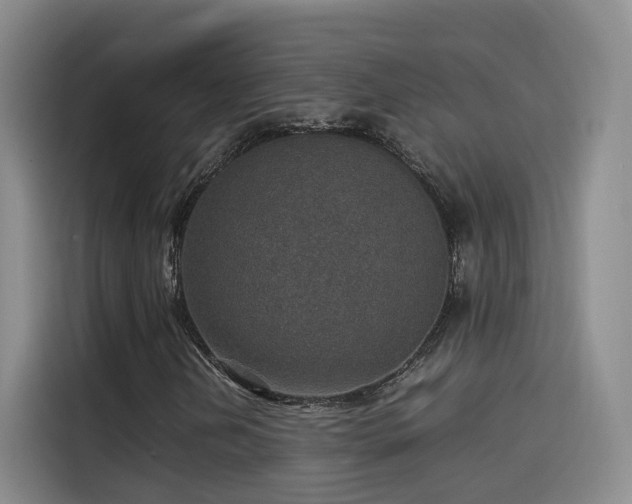 X0000115581202200911171002