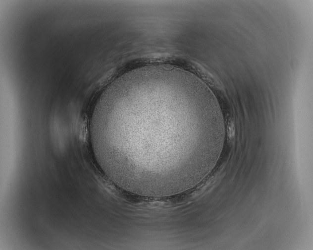 X0000115581204200911171003