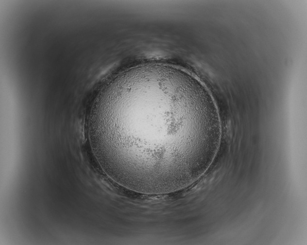 X0000115581205200911171003