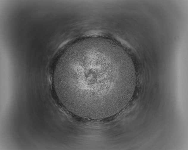 X0000115581206200911171003