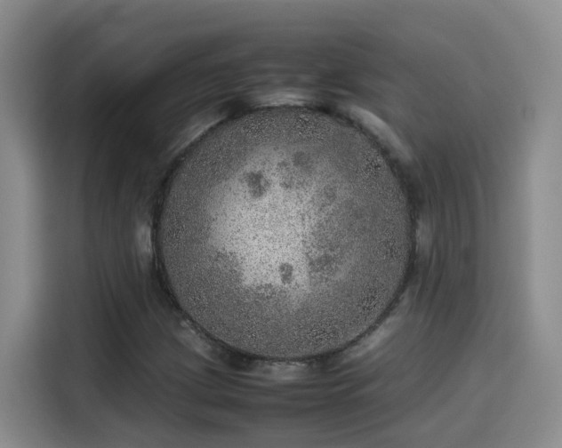 X0000115581209200911171003