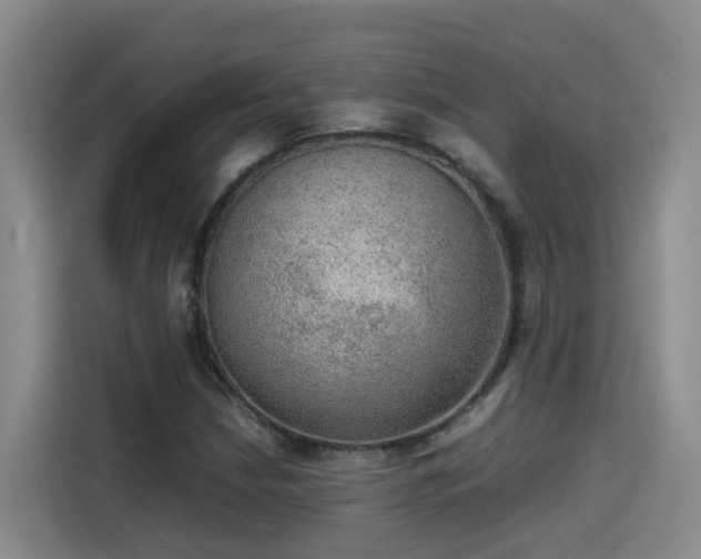 X0000115581210200911171003