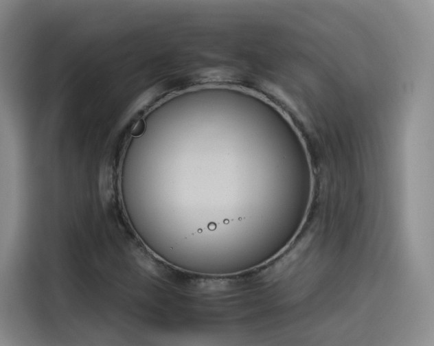 X0000115581211200911171003