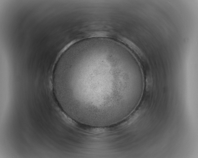 X0000115581212200911171003