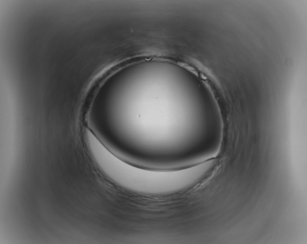 X0000115581215200911171003