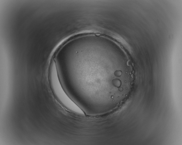 X0000115581216200911171003