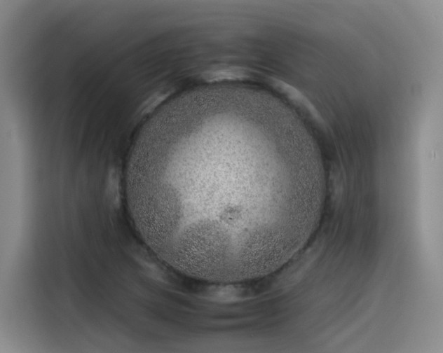 X0000115581217200911171003